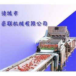 供應胡蘿卜清洗機、白蘿卜清洗機