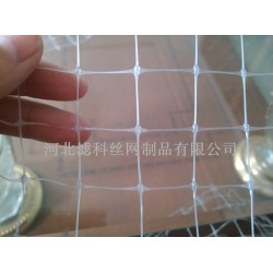 人氣新品，誠意來襲★雙向拉伸塑料網