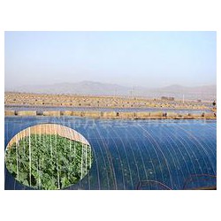 市場上品牌好的灌漿膜在哪里可以找到，灌漿膜圖片