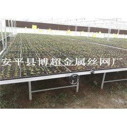 河北全新移動苗床，大棚育苗床