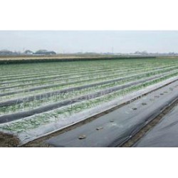 想買品牌好的除草地膜，就到開元塑料   ——山東地膜