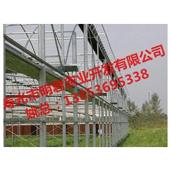 【誠薦】智能溫室大棚建設訊息，溫室大棚搭建報價
