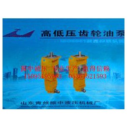 推土機齒輪油泵價格_優質雙聯齒輪油泵供應
