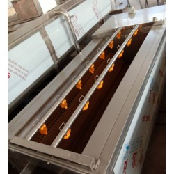 黃桃清洗機，黃桃罐頭加工全套設備
